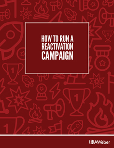 Download How to Run a Reactivation Campaign