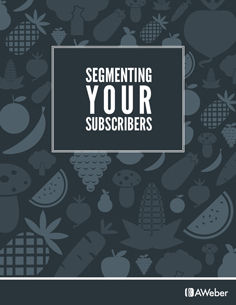 Download Segmenting Your Subscribers