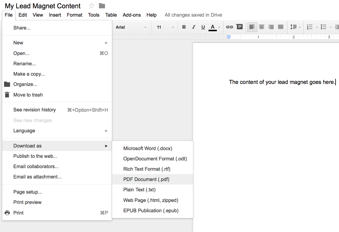 Showing how to download a Google Doc into a PDF