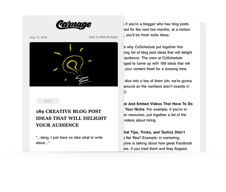 email newsletter example from company Carnage