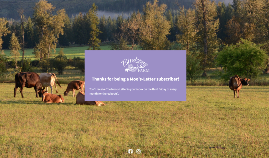 Landing page thank you for subscribing
