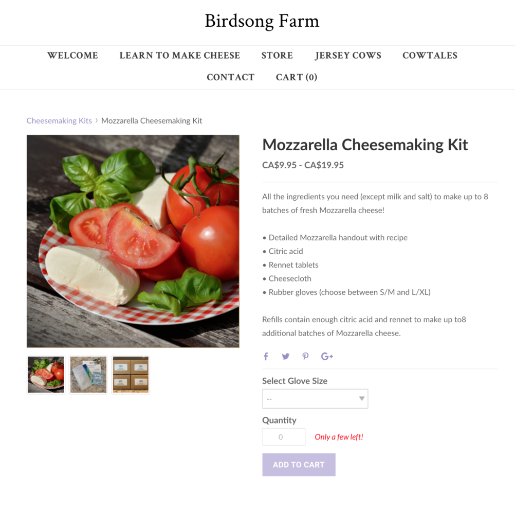 Mozzarella cheesemaking kit