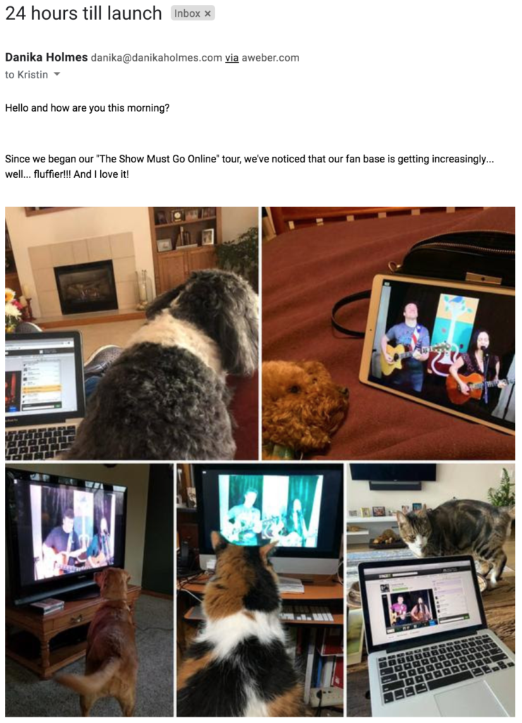Email featuring images of pets sent in by fans of Danika & the Jeb.