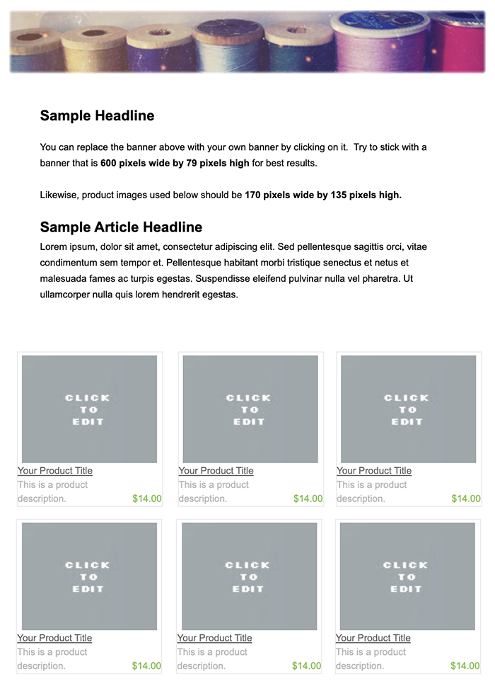 Store Etsy email template
