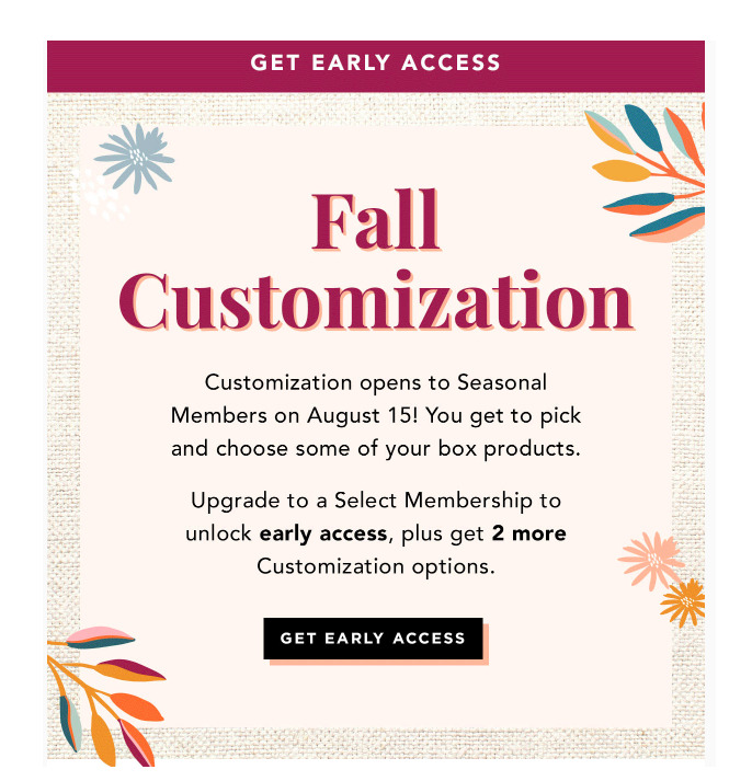 Example of an email that's encouraging an upgraded membership