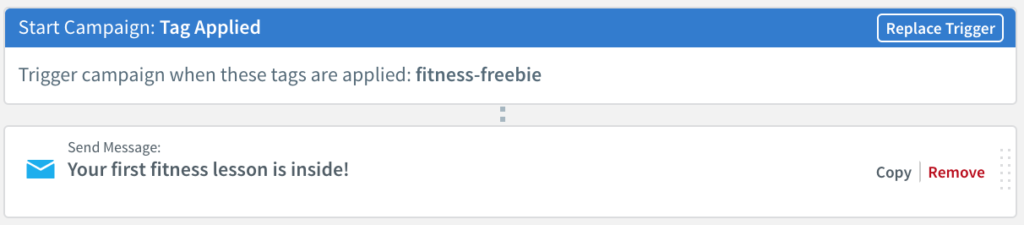 Fitness Freebie campaign workflow