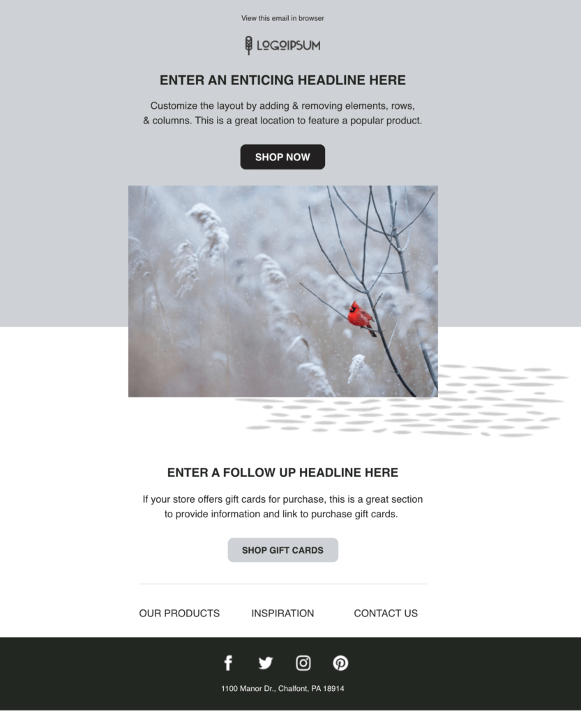 Holiday email template with gray background