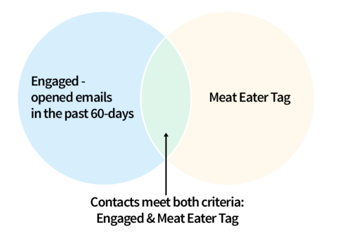 Diagram showing a custom segment for Meat Eater Tag and Engaged customer.