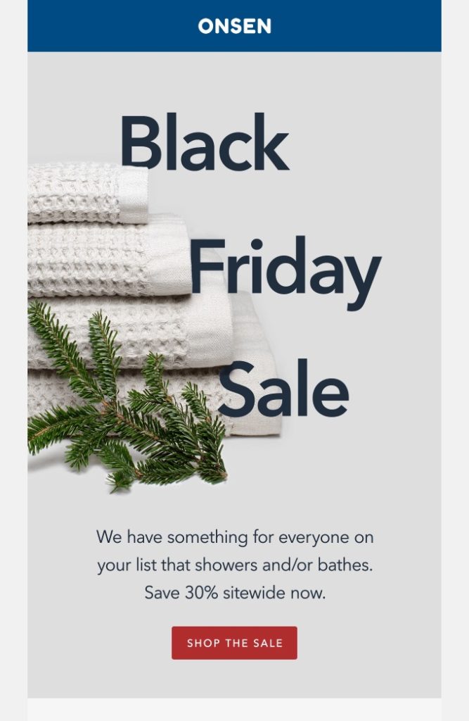 An email that says "Black Friday Sale. We have something for everyone on your list that showers and/or bathes. Save 30% sitewide now."