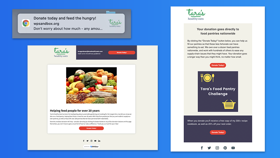 Example of an email, landing page, and web push notifications for a fundraising strategy