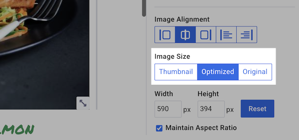 Screenshot of how to optimize an image to reduce its size in AWeber