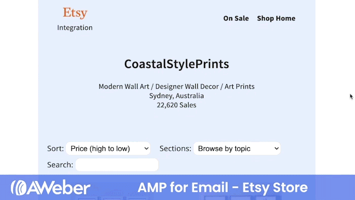 AMP for Email example showing an Etsy store built right into an email