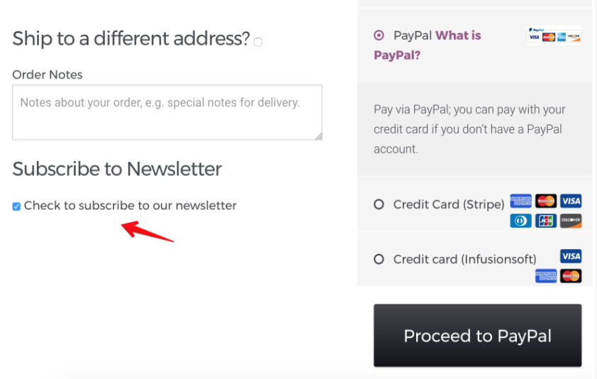 Example of payment checkout with subscriber to newsletter option
