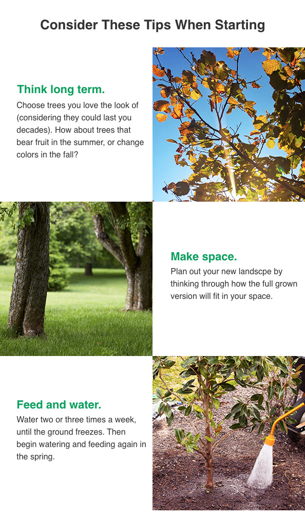 An email example from Miracle-Gro which provides helpful landscaping tips to their sales email