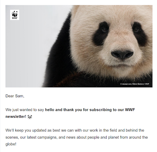 Email from WWF thanking audience for subscribing to their newsletter