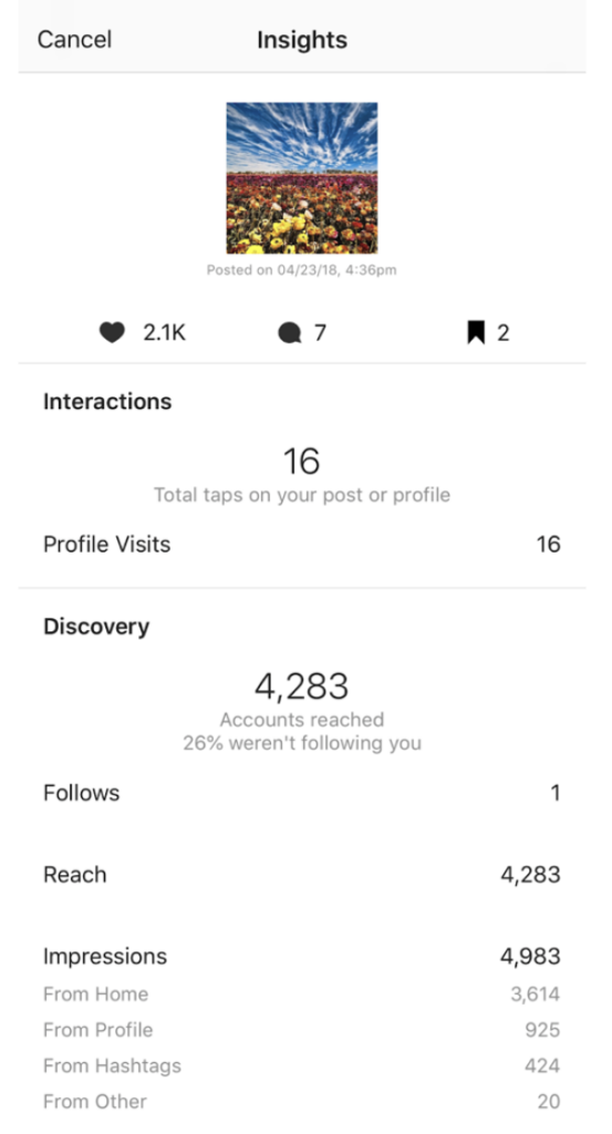 Example of an Instagram insight page