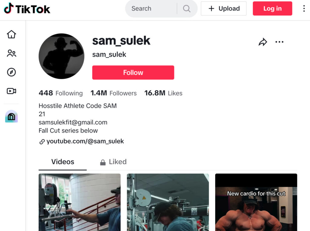Sam Sulek TikTok page