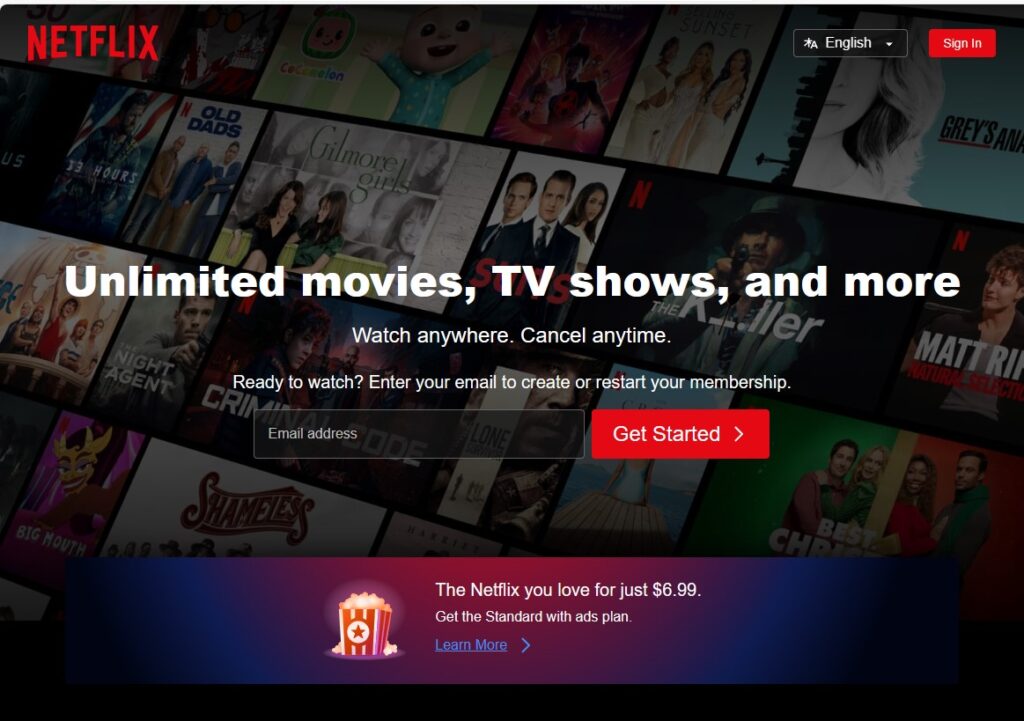 Netflix landing page hero section