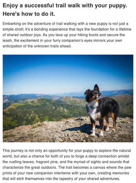 Primary story section of RuhRoh Newsletter showing a headline, copy and image of a dog