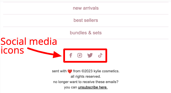 Social media icons in an email