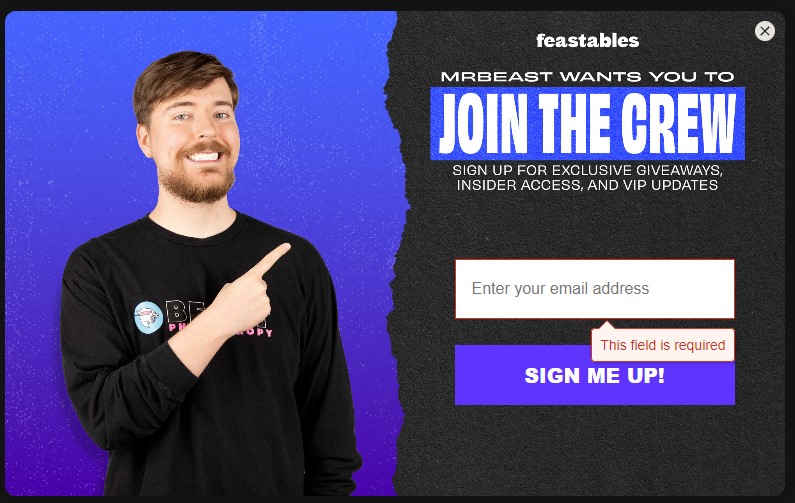 Mr. Beast pop up email sign up form