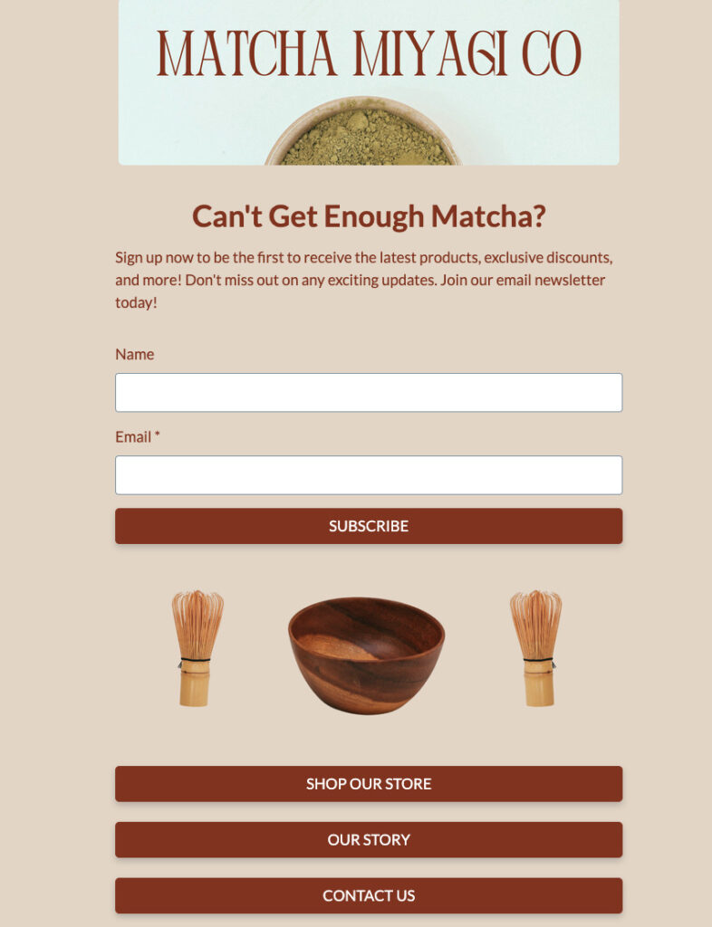 Landing page template used to collect email addresses for Etsy shop