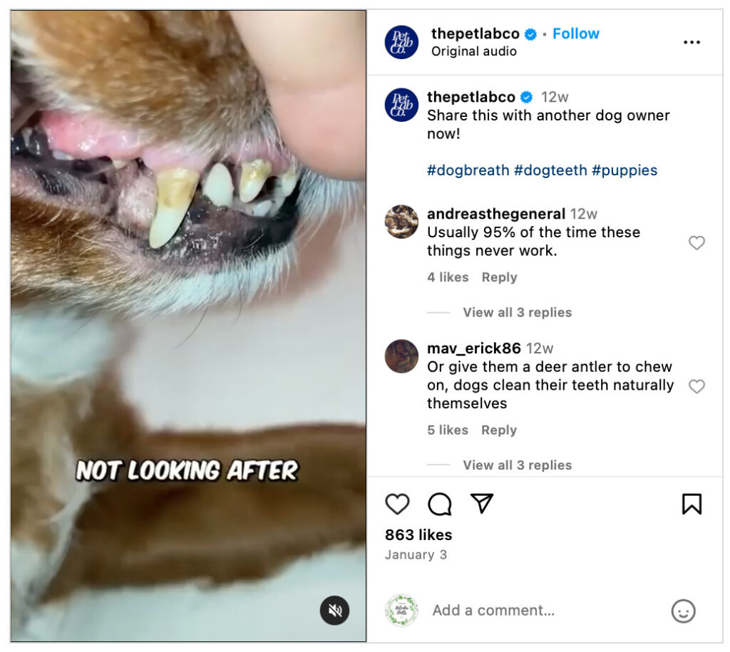 The Pet Lab.Co uses this Instagram video marketing strategy in action