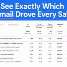 See exactly which email drove every sale
